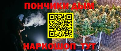шишки Кимры
